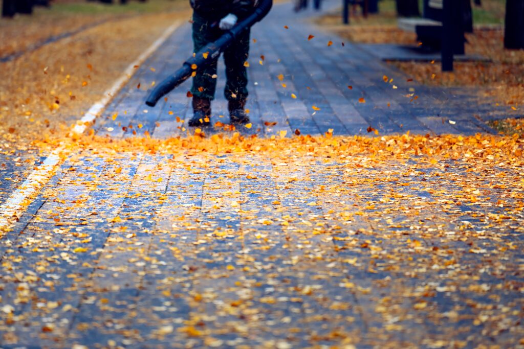 A person using a leaf blower to clear yellow and orange autumn leaves from a paved walkway in a park. The background shows blurred benches and trees, highlighting the autumn setting.